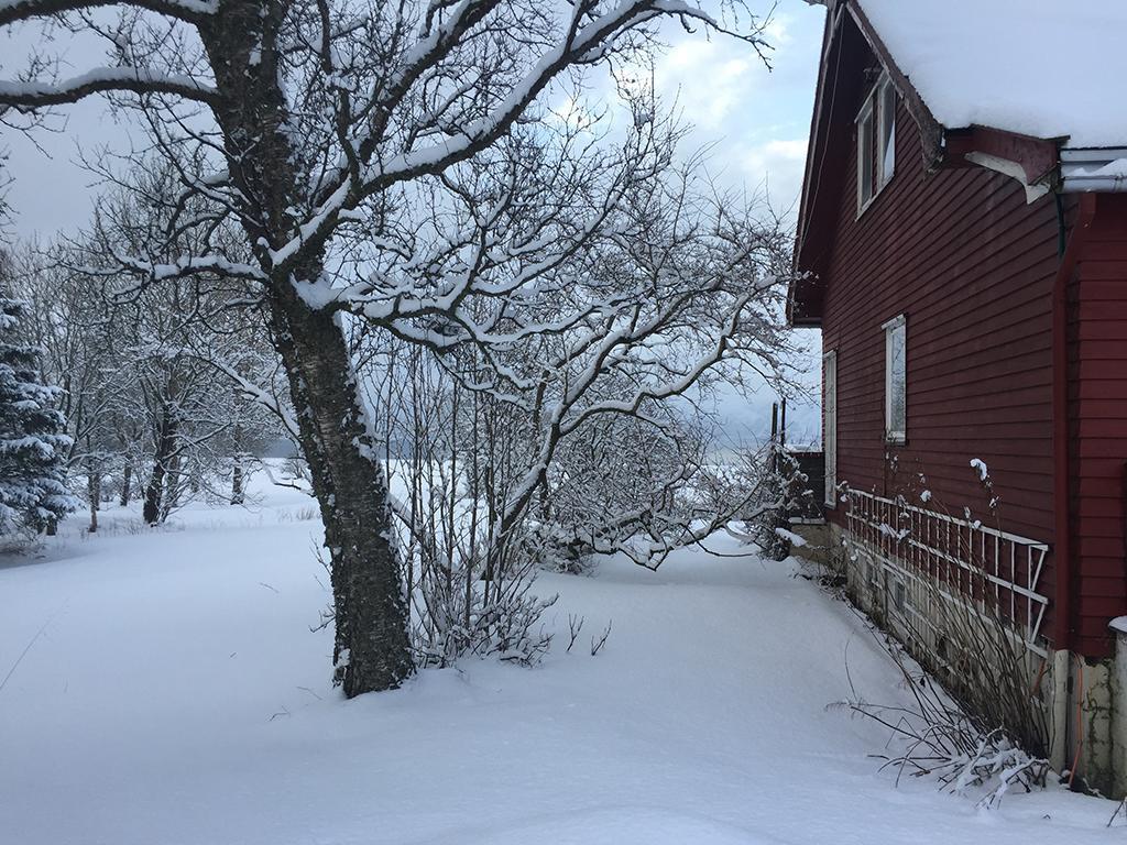 Bo Huset Guest House Sortland Bagian luar foto