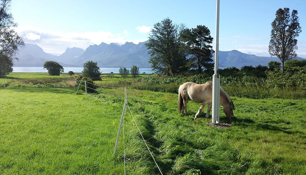 Bo Huset Guest House Sortland Bagian luar foto