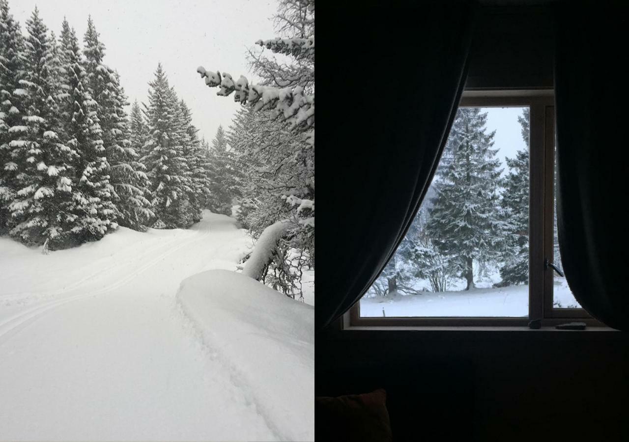 Bo Huset Guest House Sortland Bagian luar foto