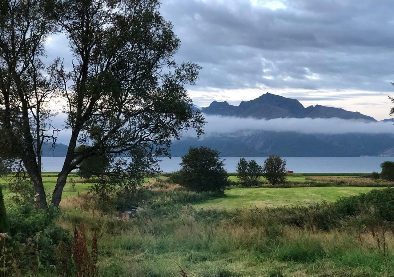 Bo Huset Guest House Sortland Bagian luar foto